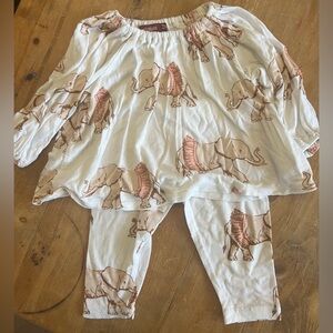 Matching elephant set